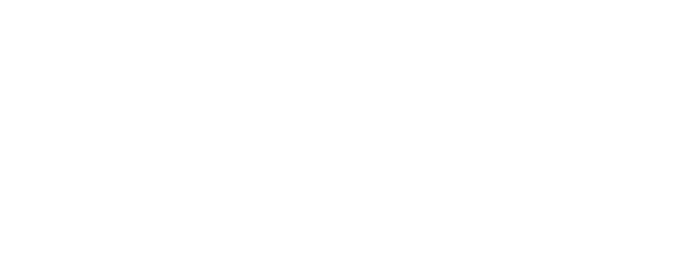 Fleeguide logo